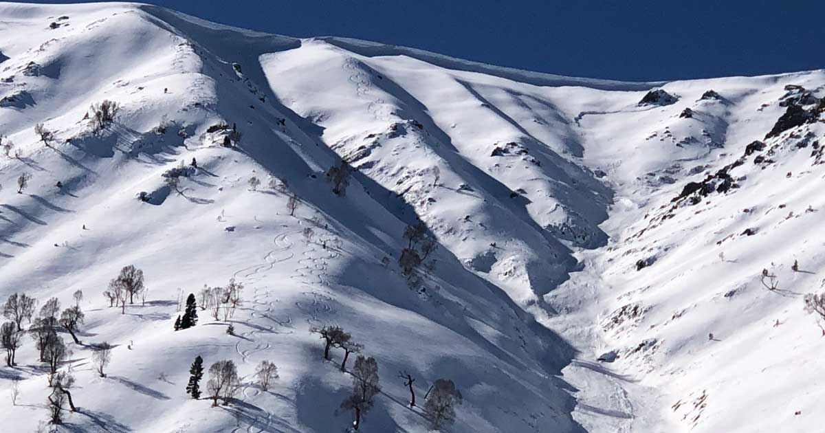 Skiing in Gulmarg 2021